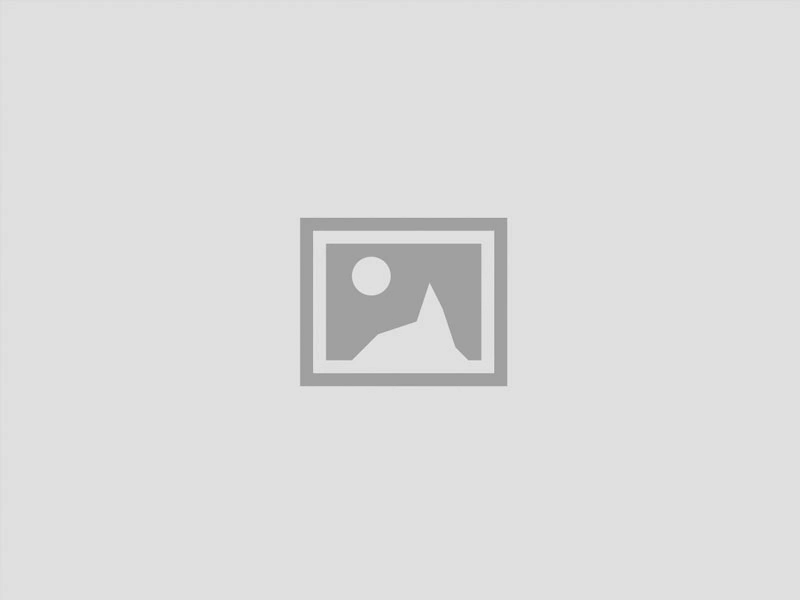 STF-footer-logo